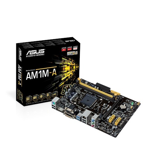 Scheda Madre Asus AM1M-A