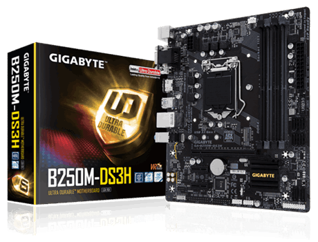 Scheda Madre Gigabyte GA-B250M-DS3H Scheda Madre Gigabyte GA-B250M-DS3H