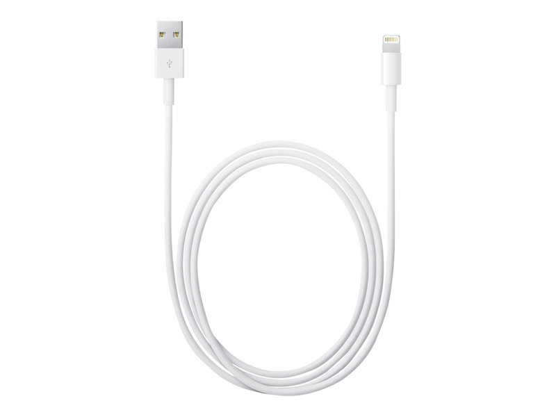 Apple Lightning to USB Cable MD818ZM/A