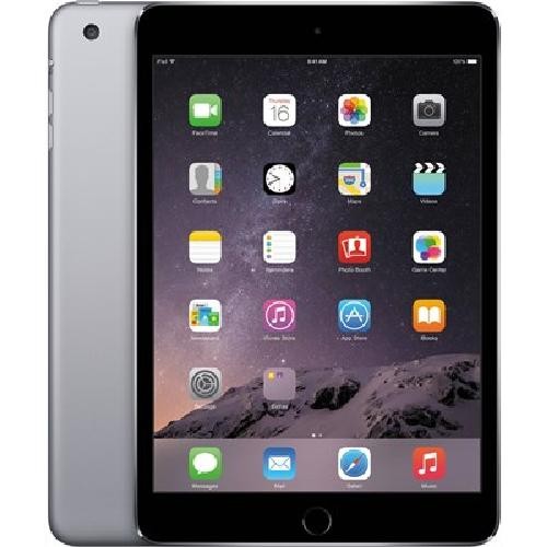 Apple iPad mini 4 Wi-Fi MK6J2TY/A