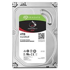HDD Seagate ironwolf Pro 4TB ST4000NE0025
