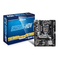 Scheda Madre Asrock B250M-HDV Scheda Madre Asrock B250M-HDV