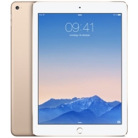 Apple iPad Air 2 Wi-Fi MH0W2TY/A Apple iPad Air 2 Wi-Fi MH0W2TY/A