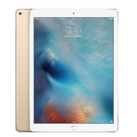 Apple iPad Pro Wi-Fi ML0R2TY/A