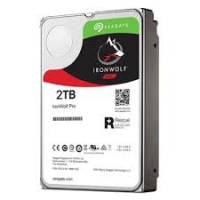 HDD Seagate Ironwolf 2TB ST2000NE0025