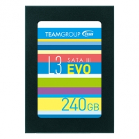  SSD Team Group L3 EVO T253LE240GTC101